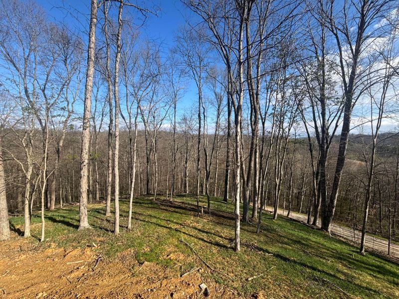 40001 Dawley New Pittsburg Road, Logan, OH 43138 Photo 6