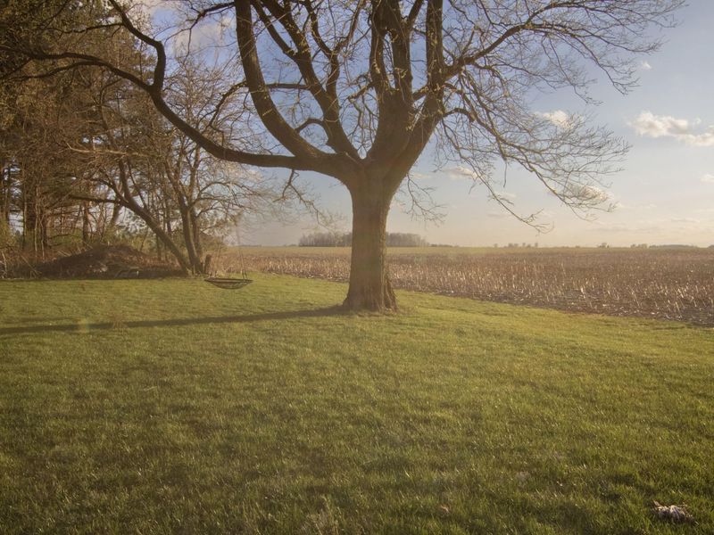 785 N State Route 589 , Sidney, OH 45365 Photo 63