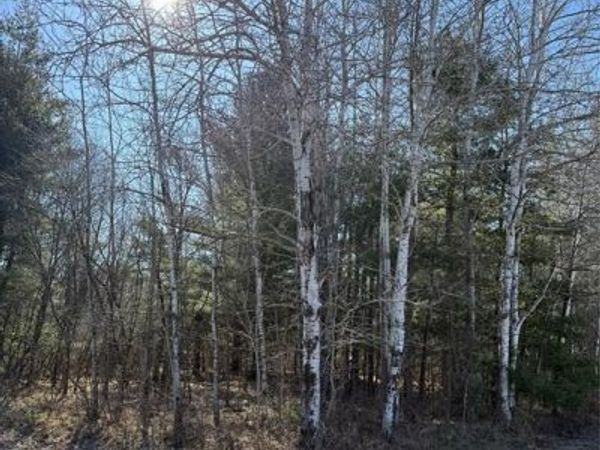 1.06 Acre on 297th Avenue, Holcombe, WI 54745