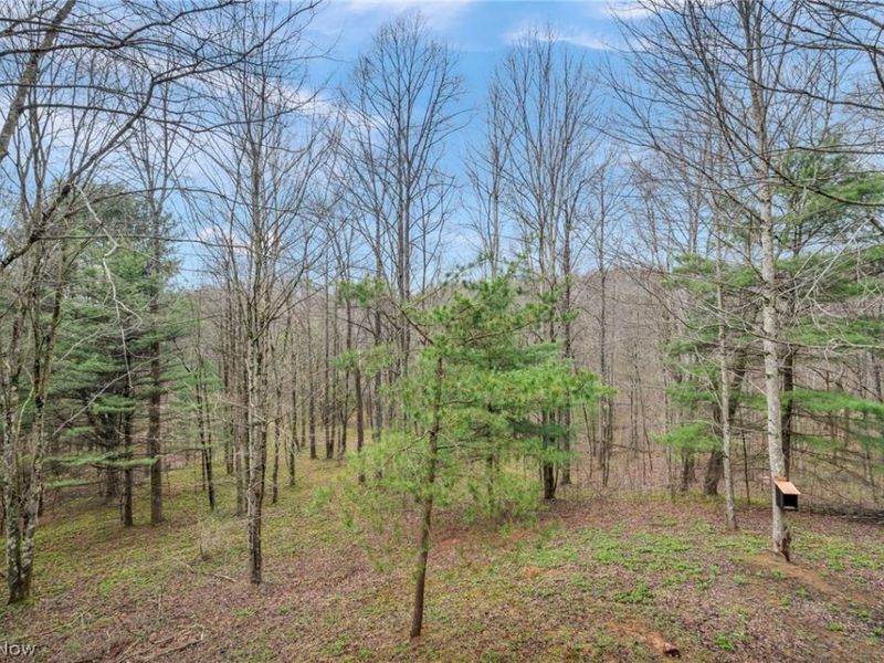 40721 Township Road 467, Sardis, OH 43946 Photo 23