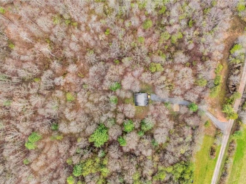 40721 Township Road 467, Sardis, OH 43946 Photo 24