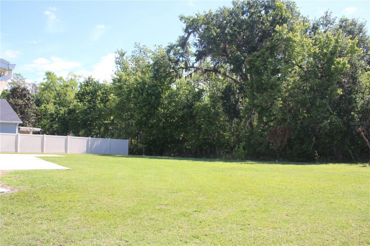 2543 Chapala Drive, Kissimmee, FL 34746 Photo