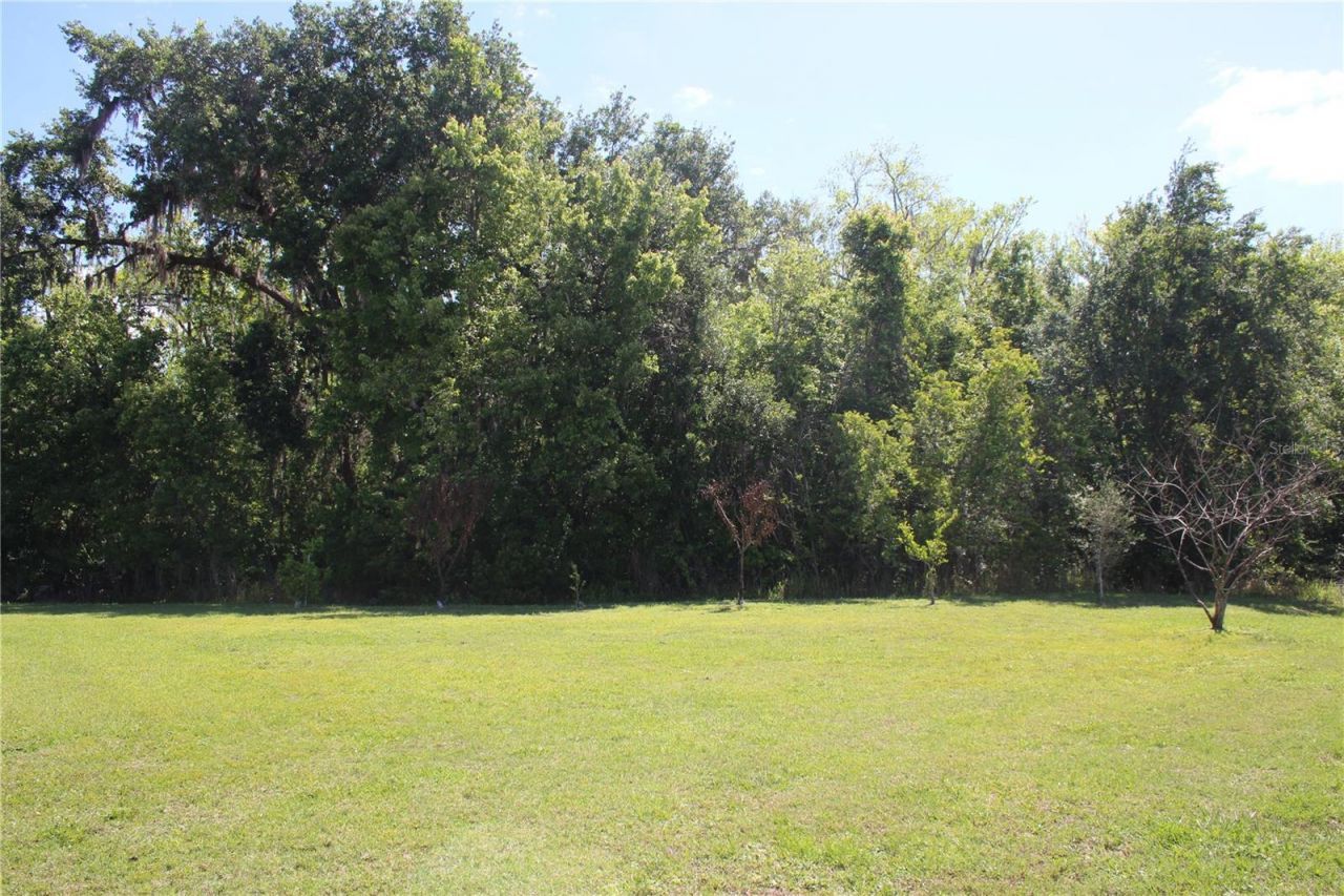 2543 Chapala Drive, Kissimmee, FL 34746 Photo
