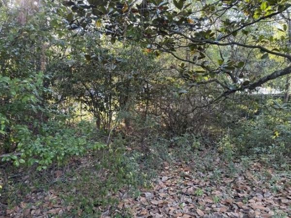 3716 Batre Lane , Mobile, AL 36608