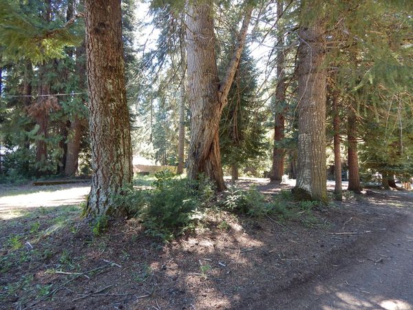 356 M Lane, Prospect, OR 97536