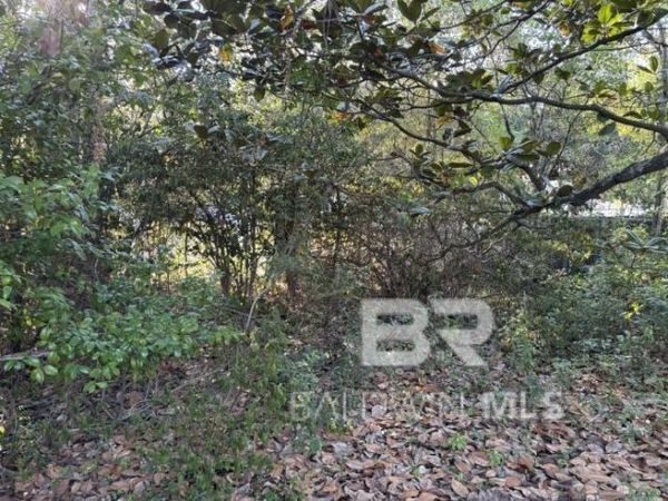 0 Batre Lane, Mobile, AL 36608