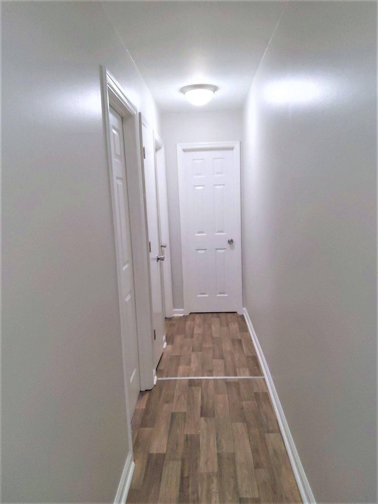 137 Susan Drive Photo 11