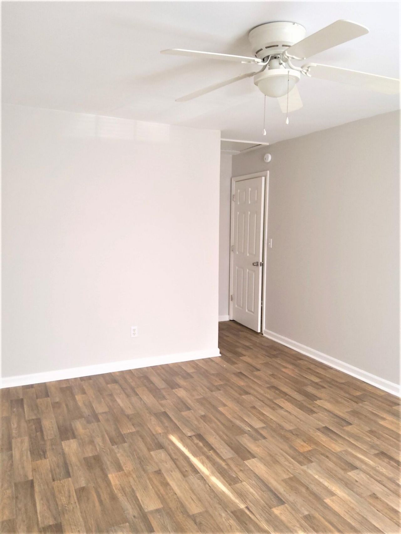 137 Susan Drive Photo 13