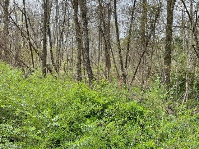 00 Old Walker Mill Road, Randleman, NC 27317 Main Photo