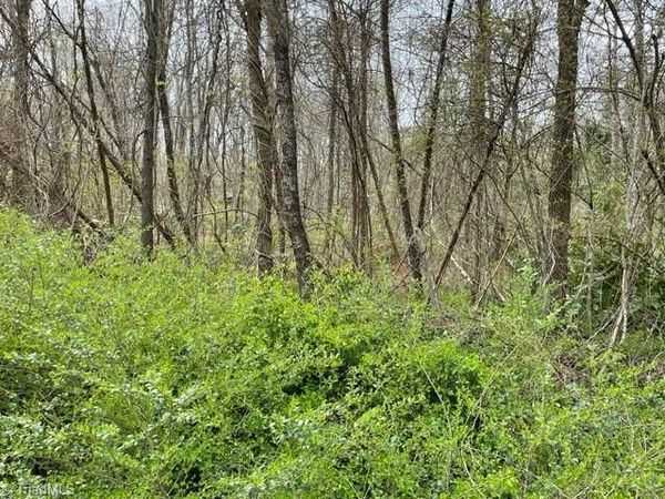 00 Old Walker Mill Road, Randleman, NC 27317