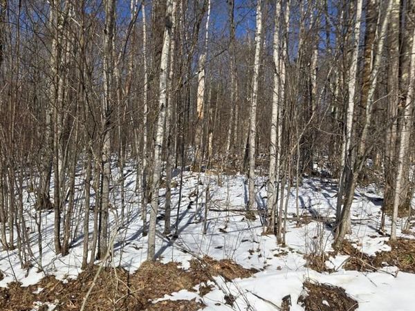 Lot 90 Silver Birch Drive, Cable, WI 54821