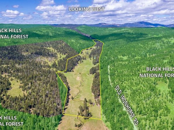 11709 Old Ironhorse Road, Deadwood, SD 57732