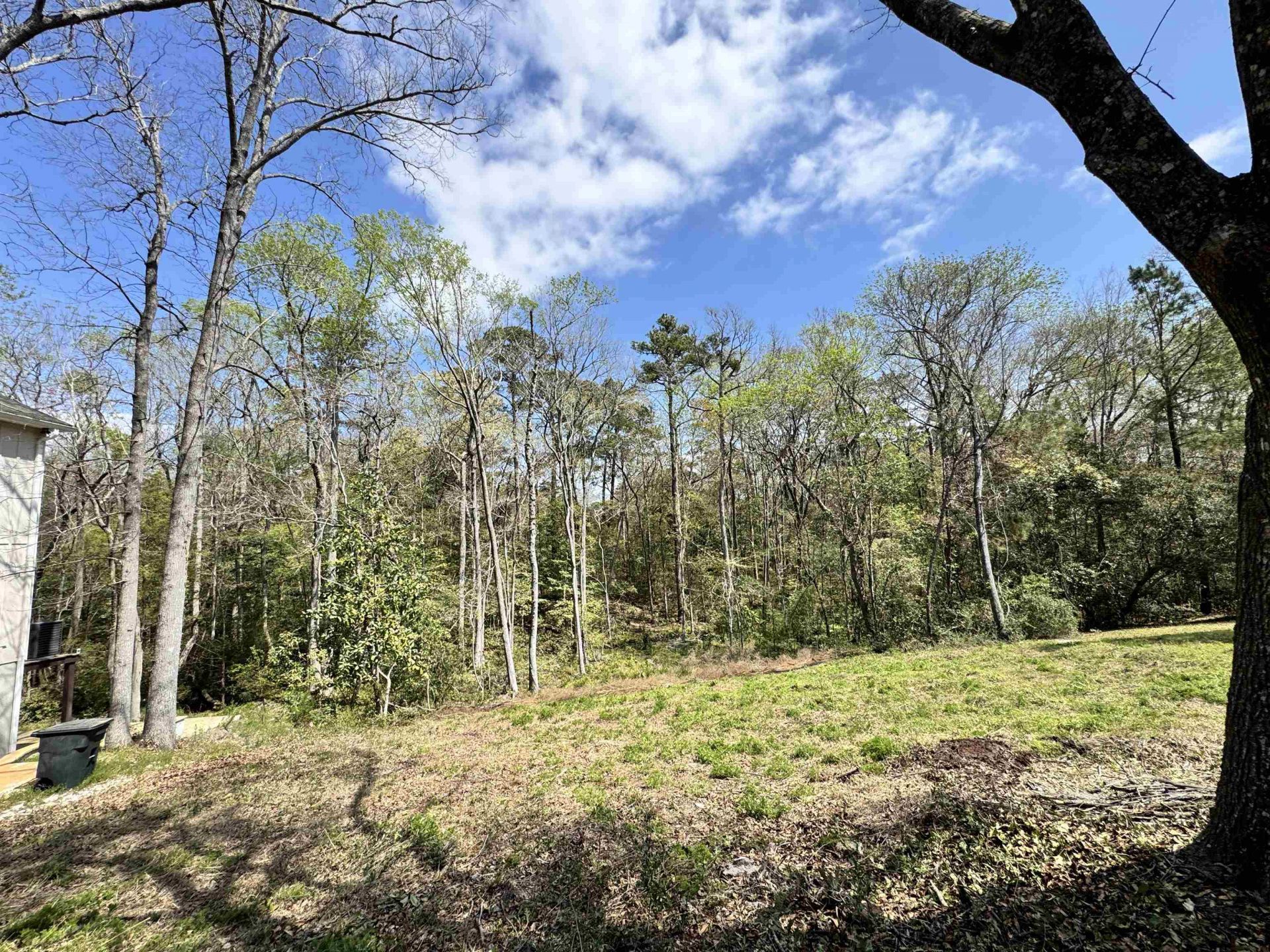 1677 Carriage Ln.  Photo 10