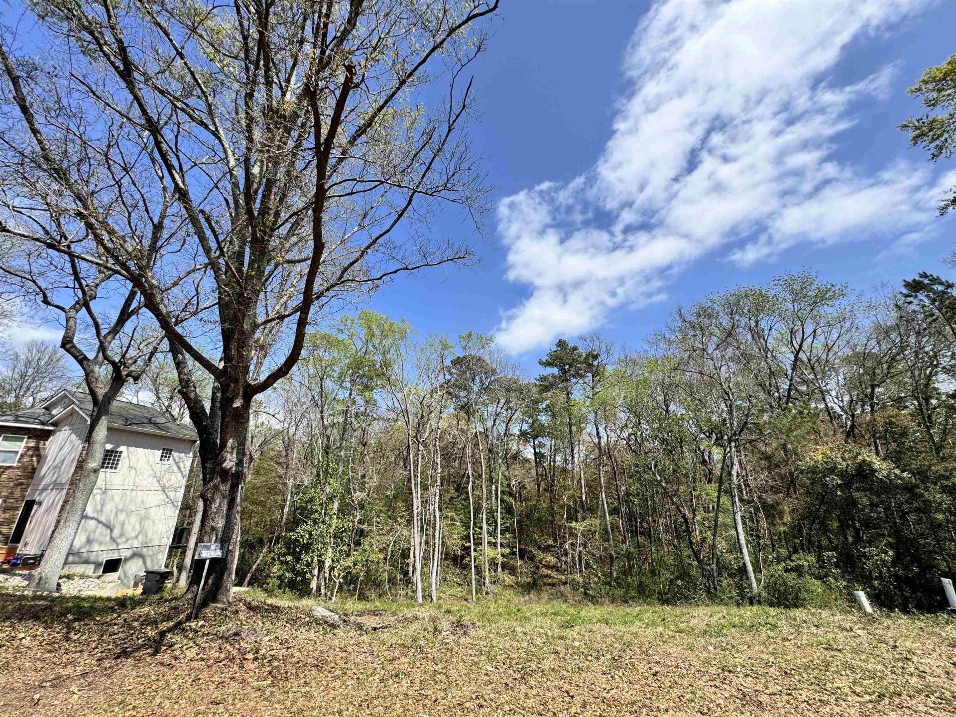 1677 Carriage Ln.  Photo 11