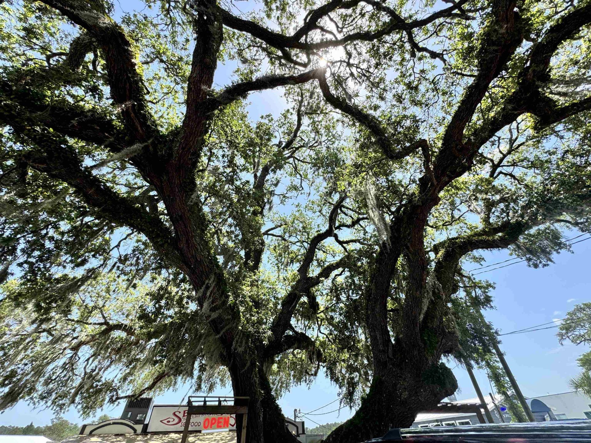 1677 Carriage Ln.  Photo 16