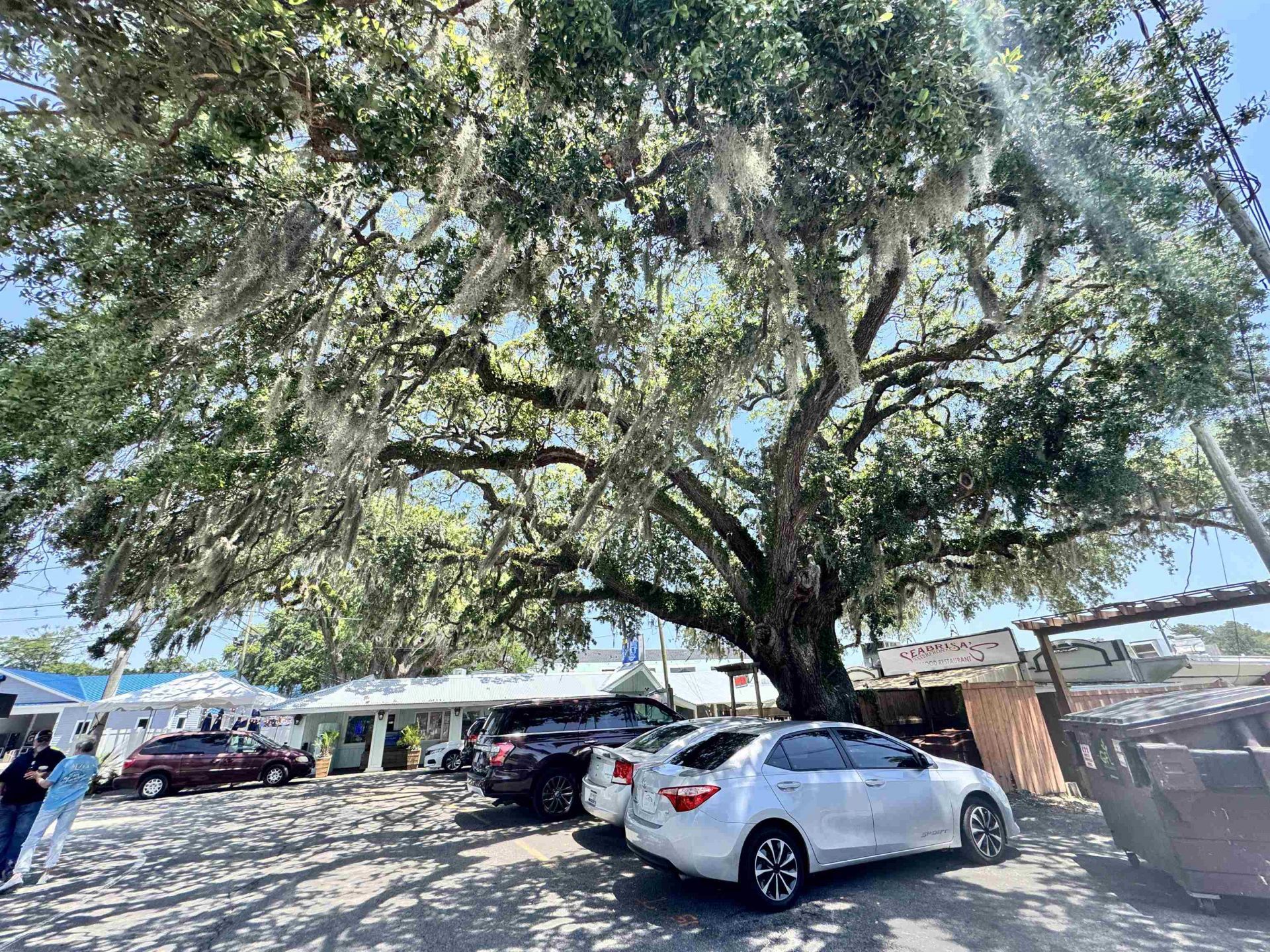 1677 Carriage Ln.  Photo 21