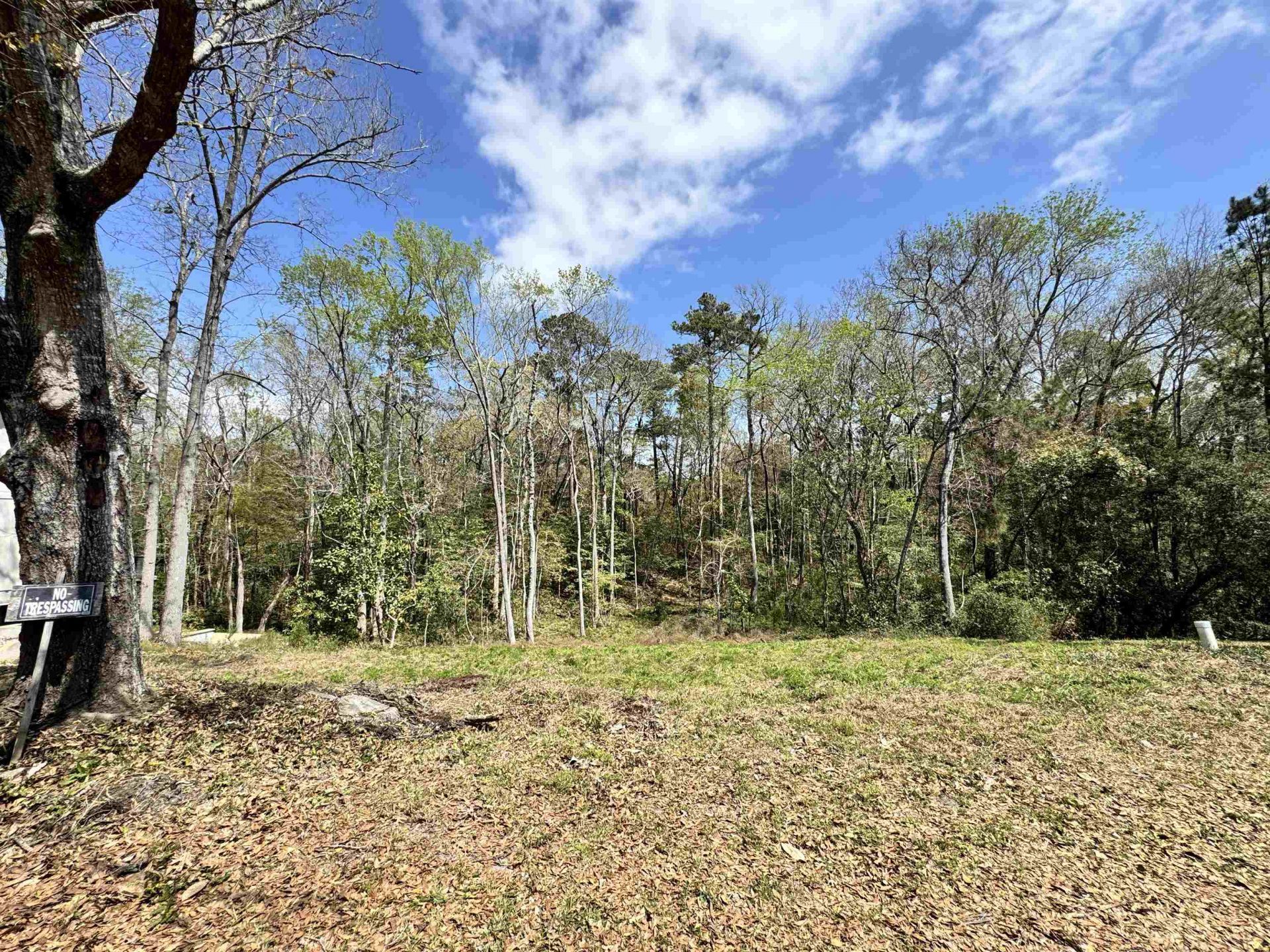 1677 Carriage Ln.  Photo 7