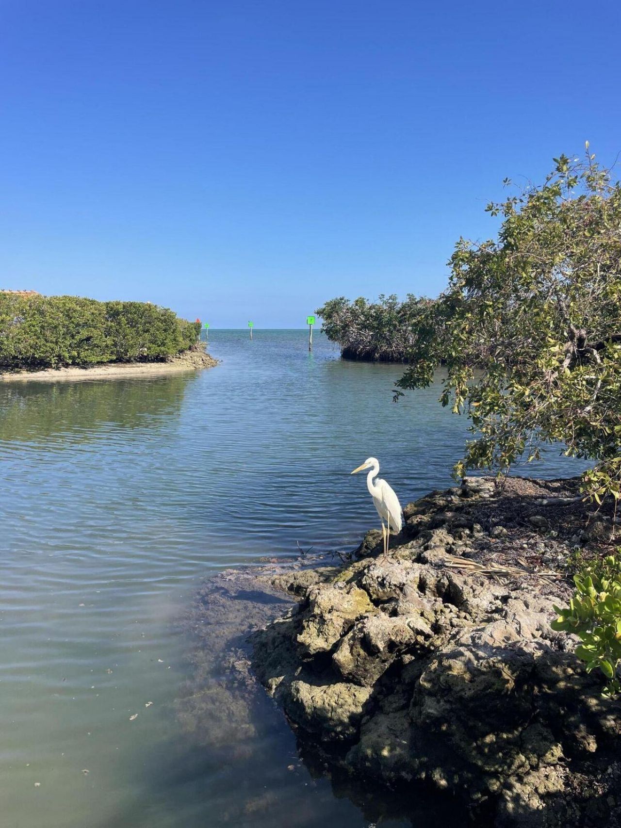 500 Burton Drive, Unit 1316, Tavernier, FL 33070 Photo