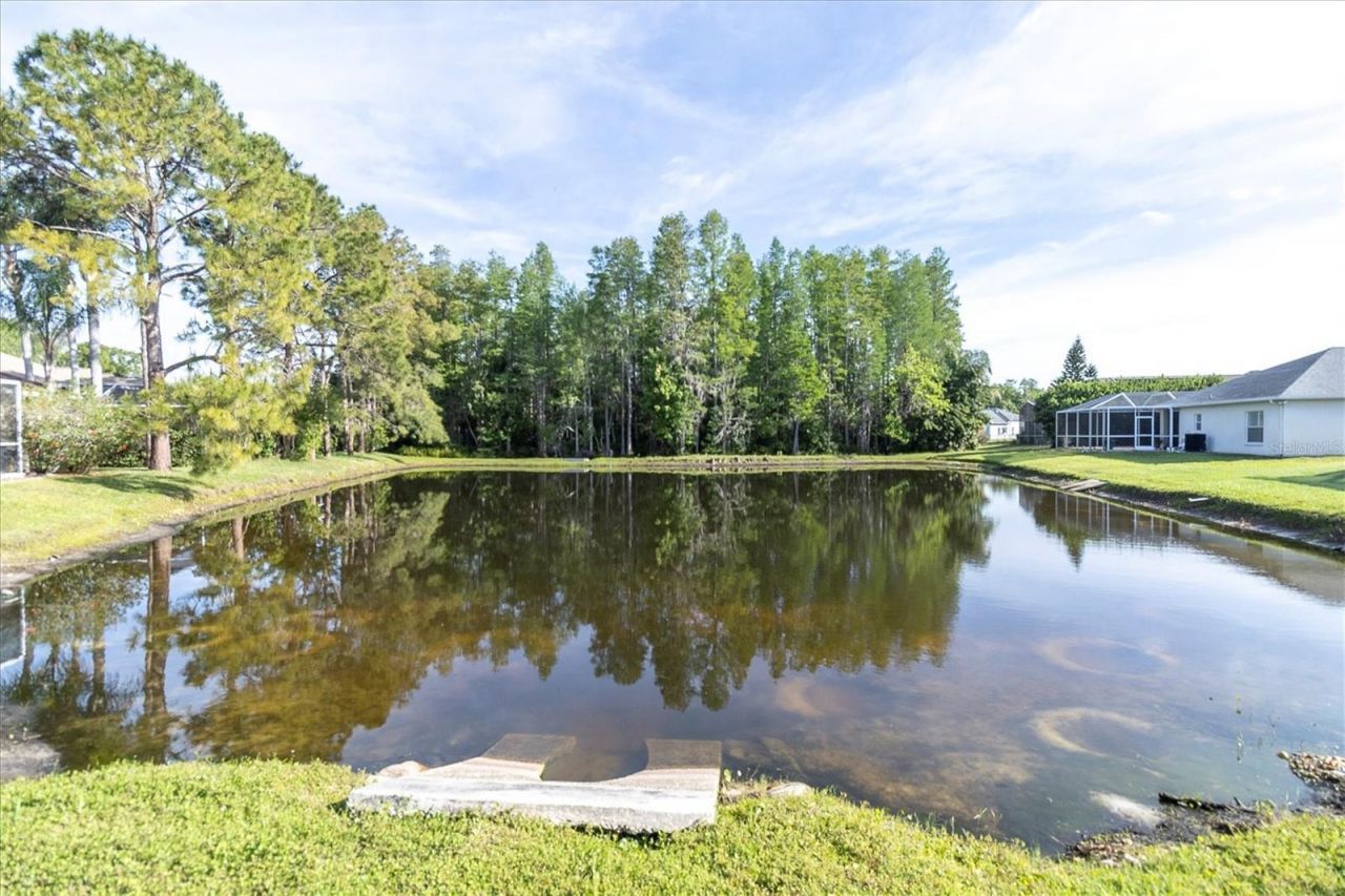 1050 Maravista Drive, Trinity, FL 34655 Photo