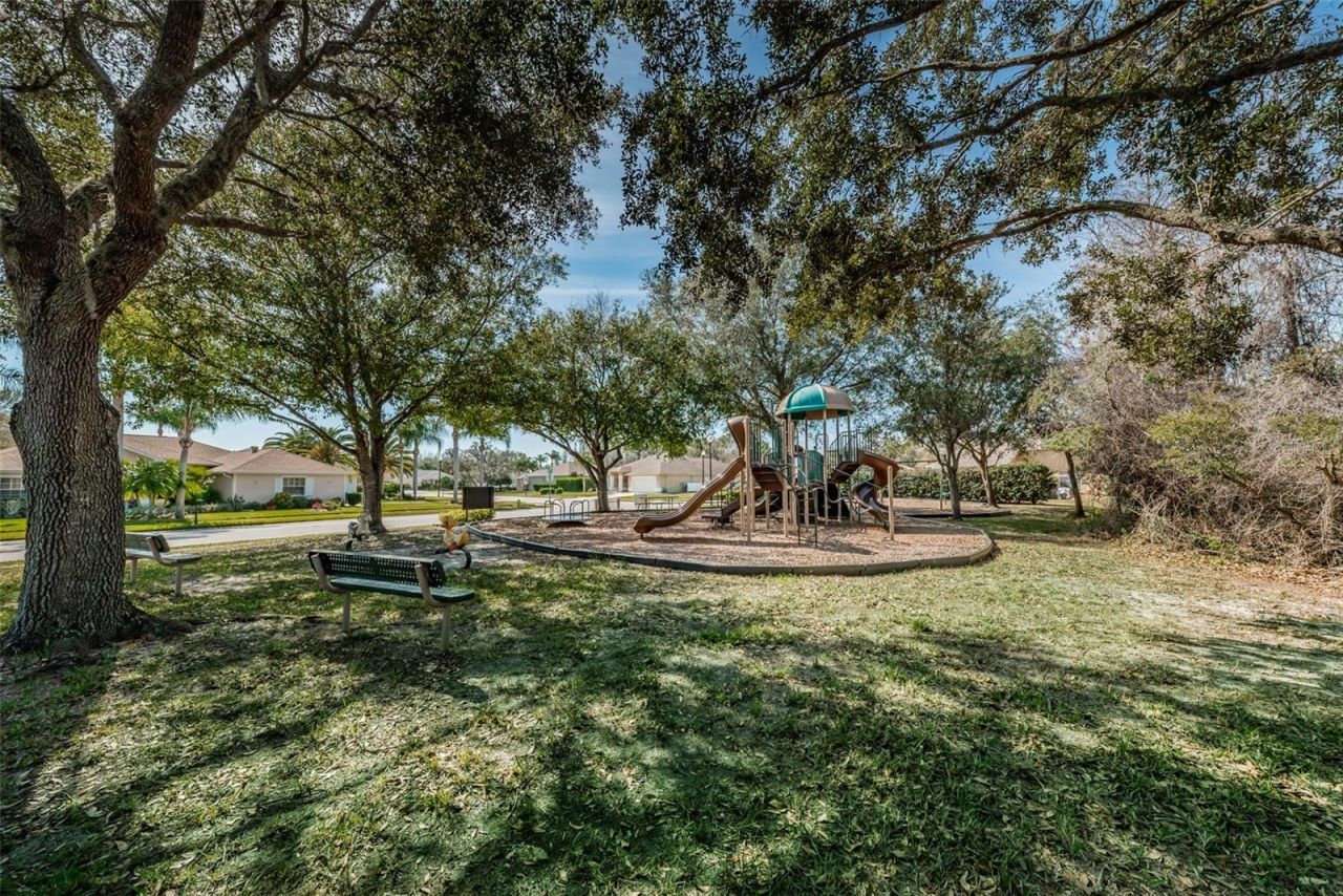 1050 Maravista Drive, Trinity, FL 34655 Photo