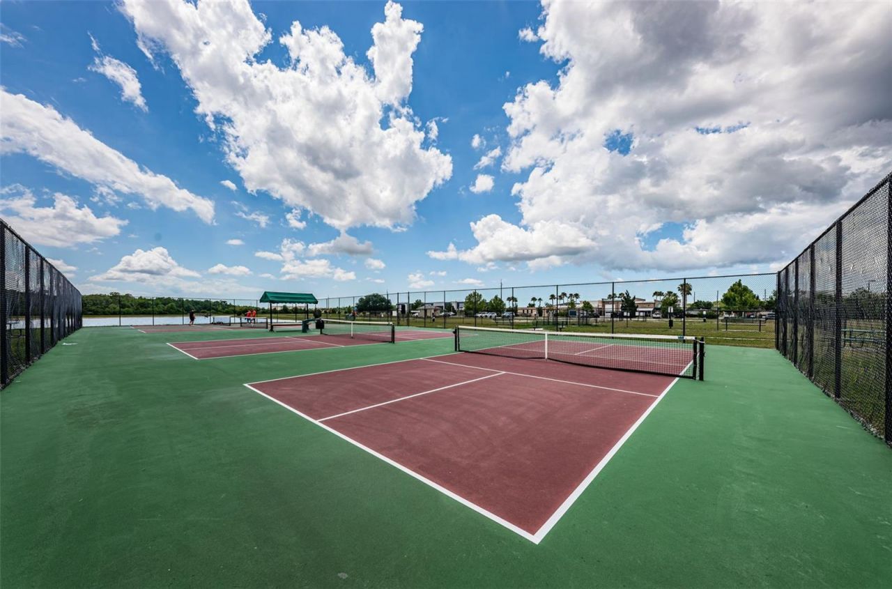 1050 Maravista Drive, Trinity, FL 34655 Photo