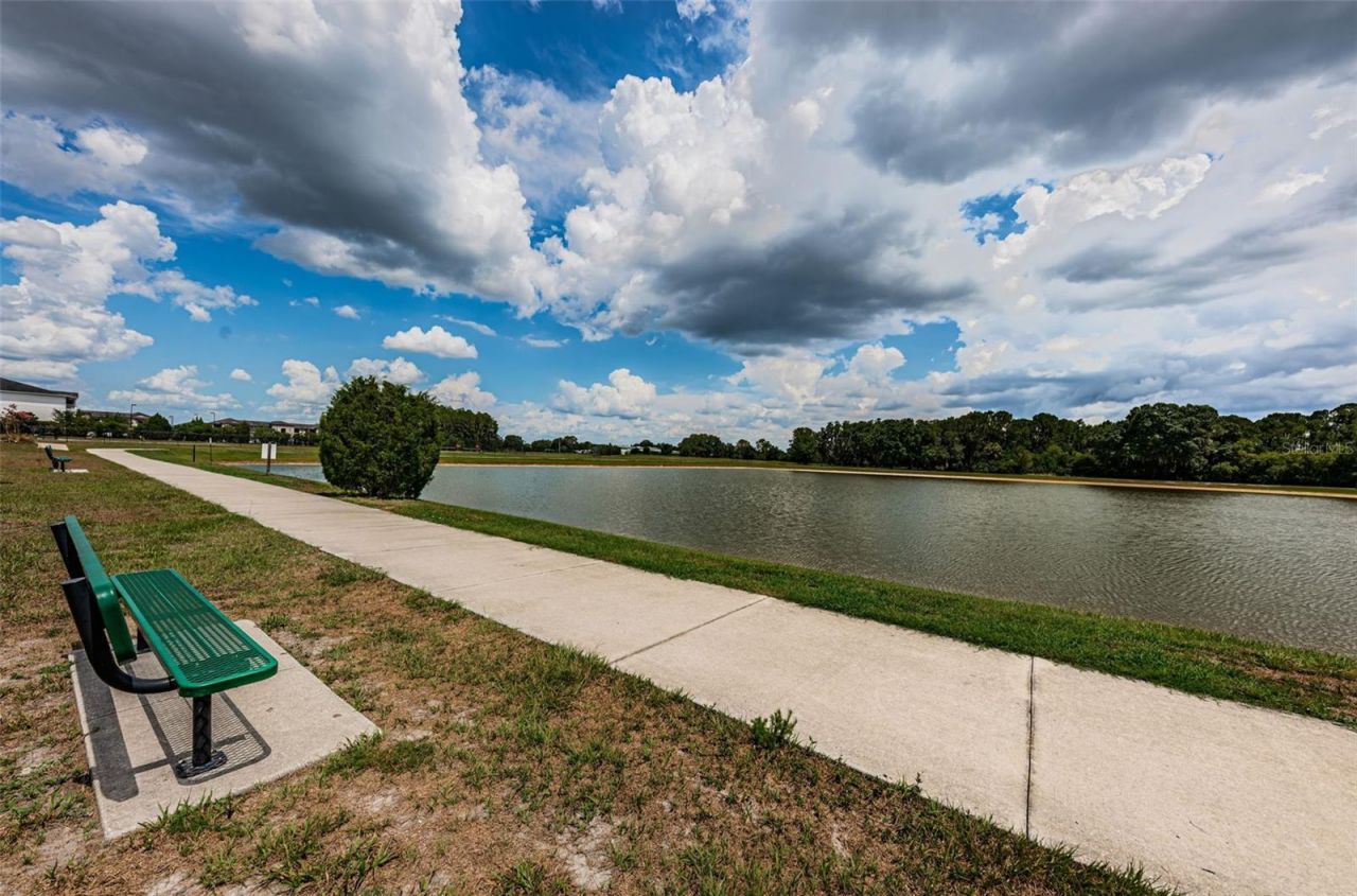 1050 Maravista Drive, Trinity, FL 34655 Photo