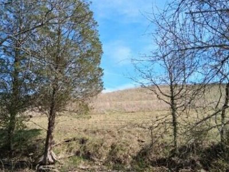 105 Scaffold Lick Creek Road, Berry, KY 41003 Photo 17