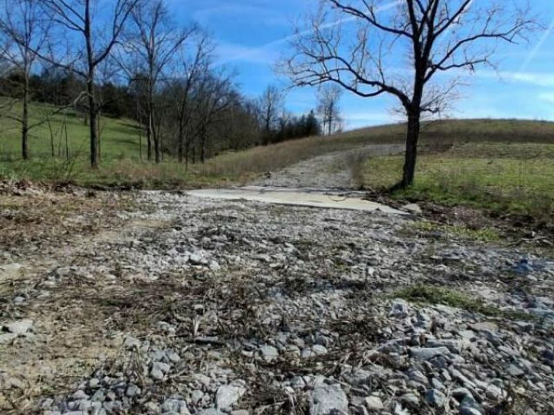 105 Scaffold Lick Creek Road, Berry, KY 41003 Photo 18