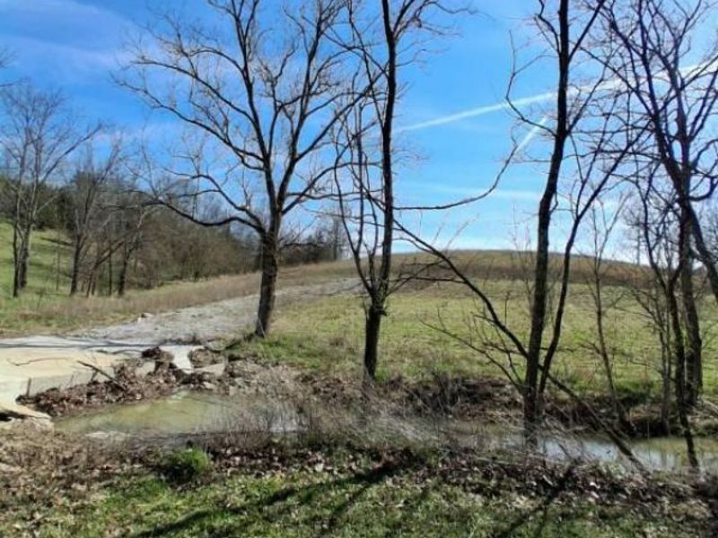 105 Scaffold Lick Creek Road, Berry, KY 41003 Photo 20