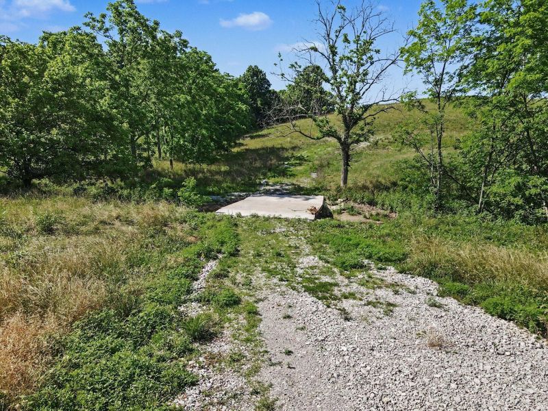 105 Scaffold Lick Creek Road, Berry, KY 41003 Photo 28