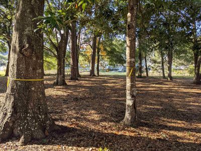 31 Gasparilla Circle , Murrells Inlet, SC 29576