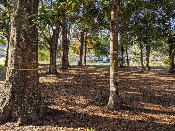 31 Gasparilla Circle , Murrells Inlet, SC 29576