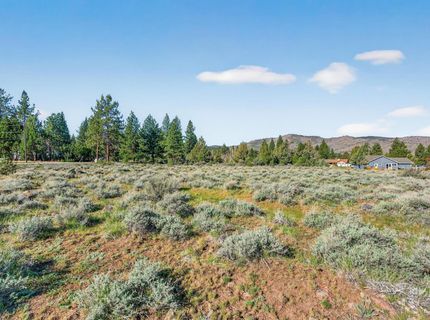 171 Smithneck Road, Loyalton, CA 96118 Photo