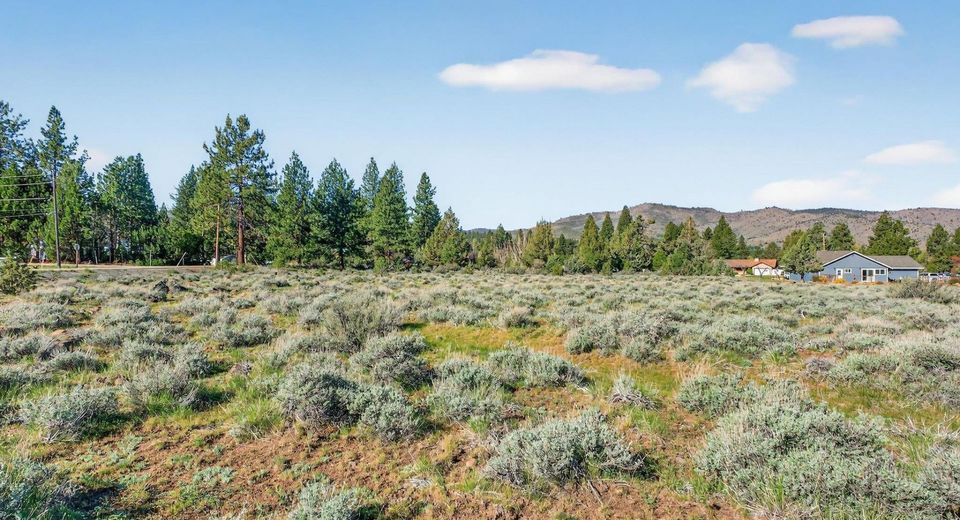 171 Smithneck Road, Loyalton, CA 96118 Photo