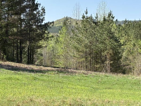 108 Leggett Road, Sale Creek, TN 37373