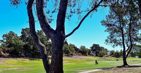 1457 Marchbanks Dr #1, Unit 1, Walnut Creek, CA 94598 Photo