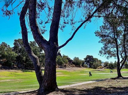 1457 Marchbanks Dr #1, Unit 1, Walnut Creek, CA 94598 Photo