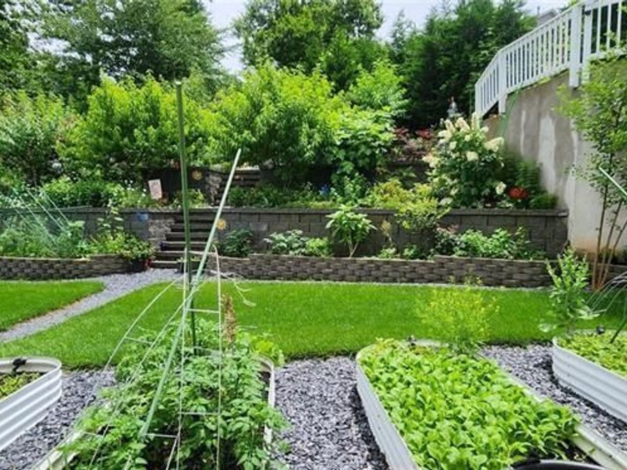 Property Image 85