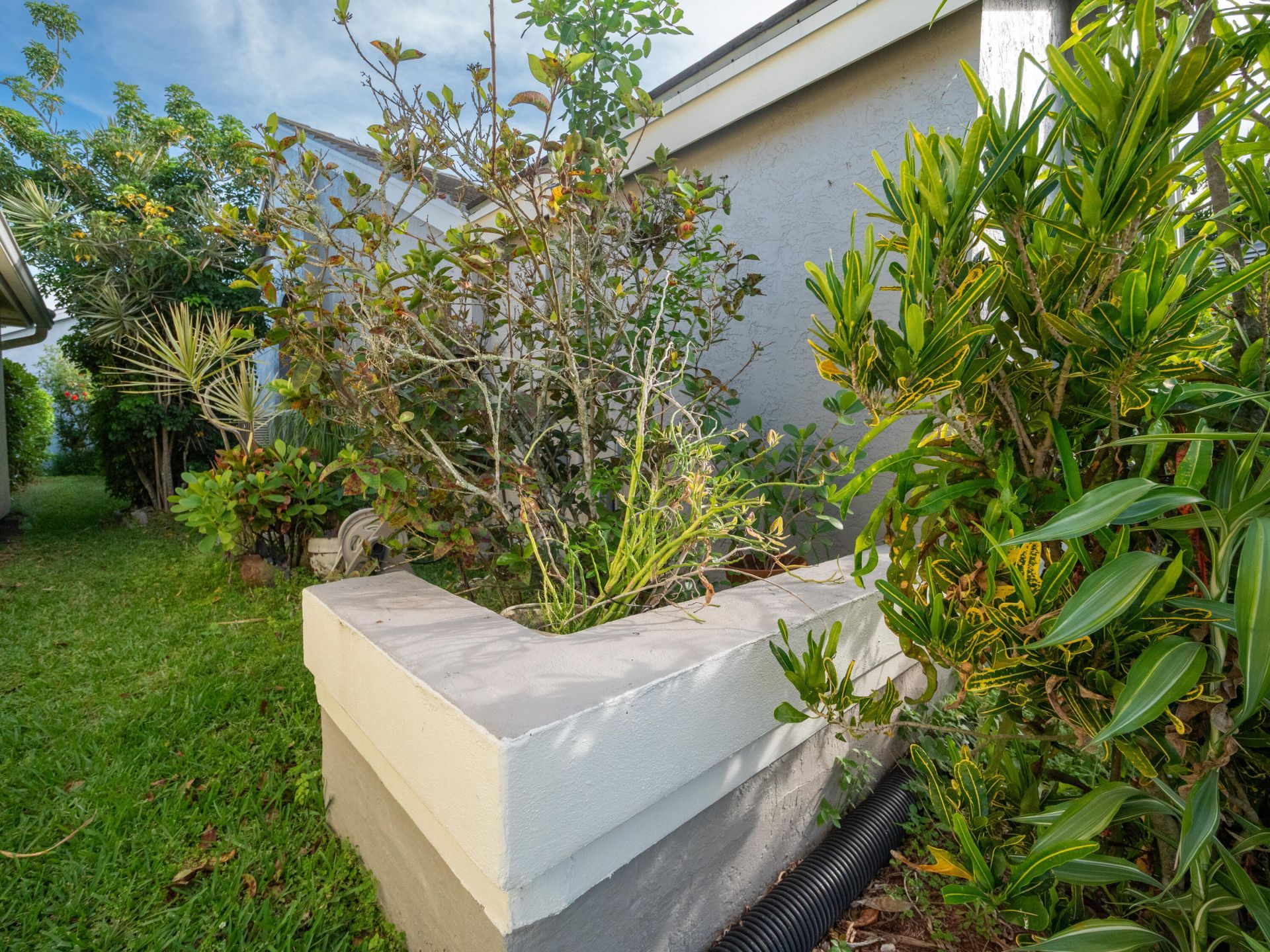 12668 White Coral Drive, Wellington, FL 33414 Photo