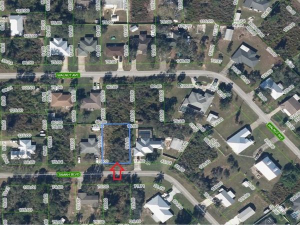 1507 TAMAH BOULEVARD , LAKE PLACID, FL 33852