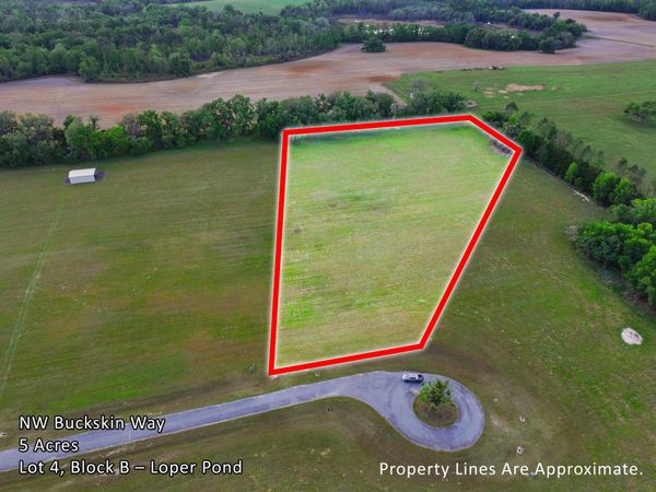 Vacant NW Buckskin Way, Madison, FL 32340