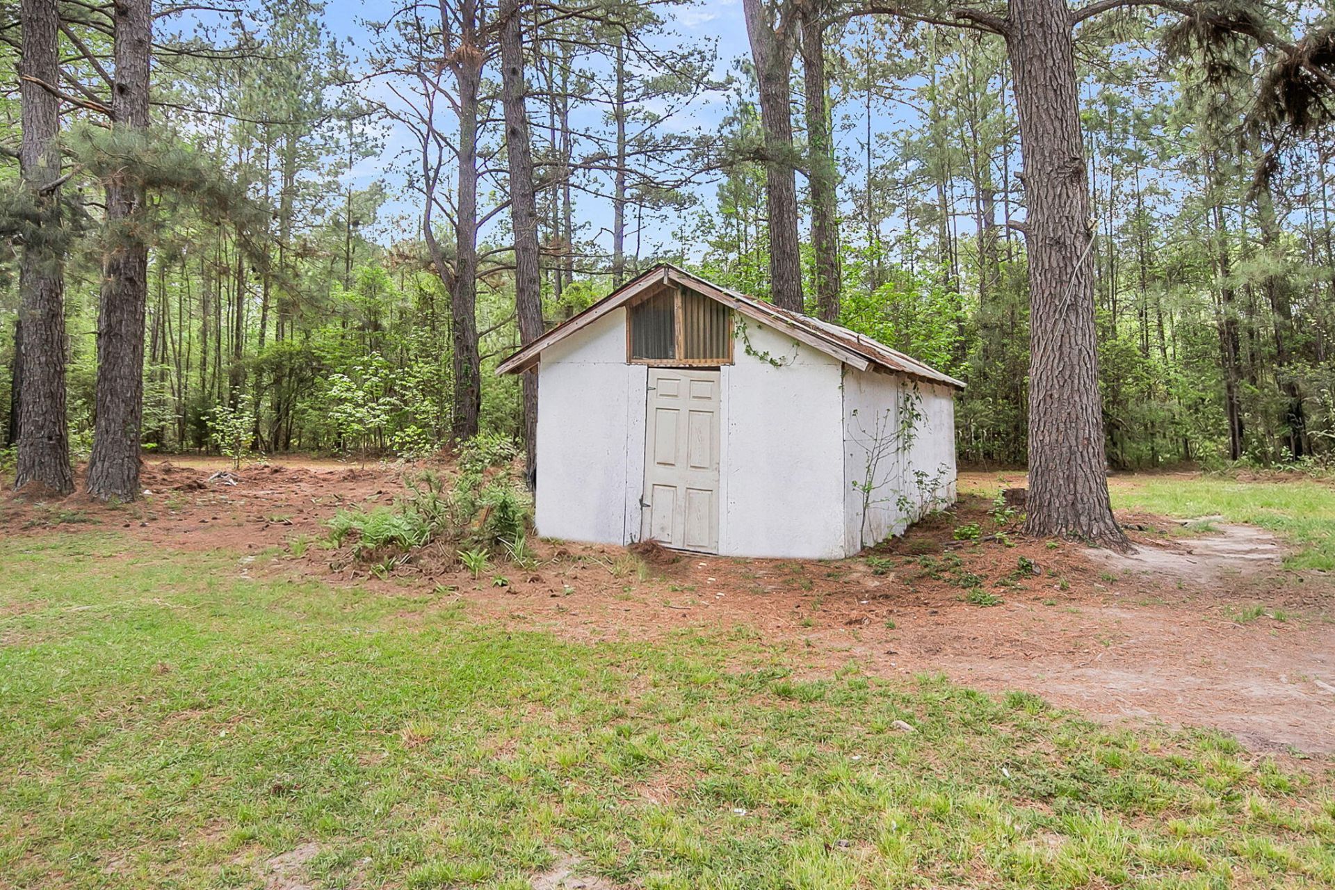 147 Saint Michaels Place Photo 17