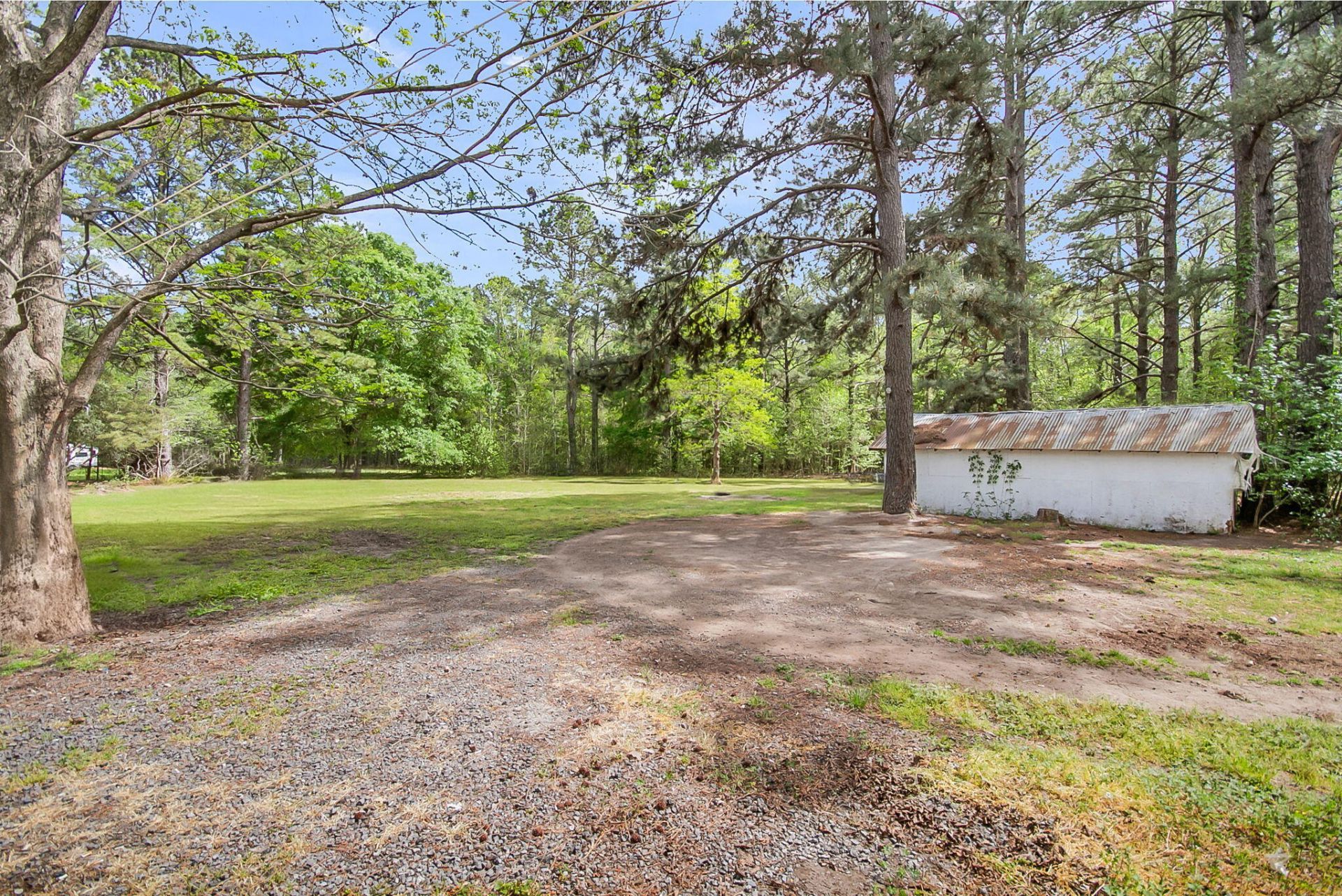 147 Saint Michaels Place Photo 18