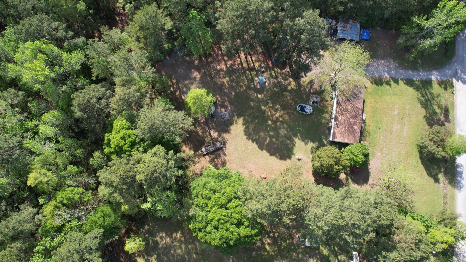 147 Saint Michaels Place Photo 19