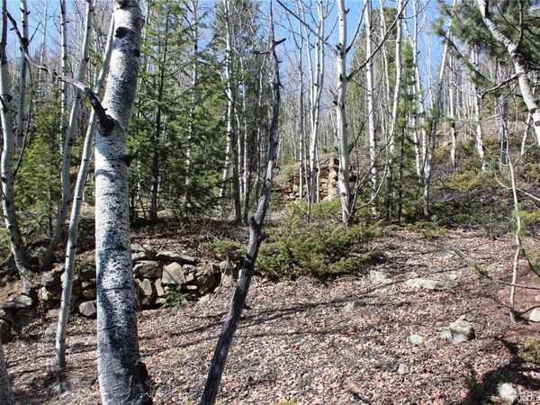 00 Spruce Street , Central City, CO 80427