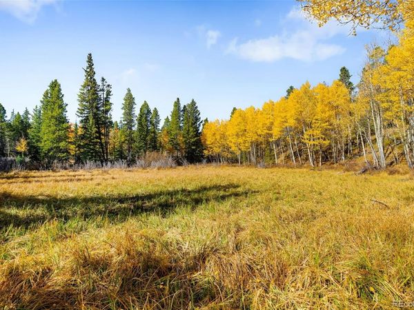 30 Serenity Court , Fairplay, CO 80440