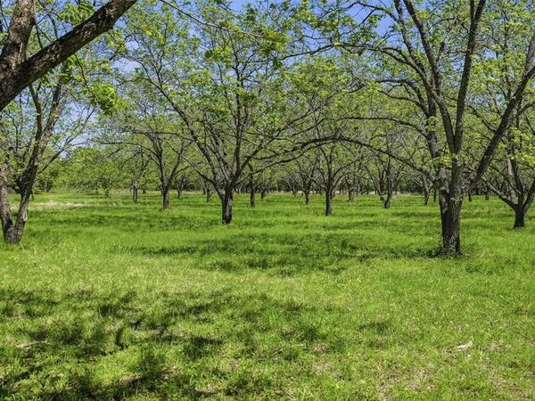 12011 Paradise Boulevard , Bluff Dale, TX 76433