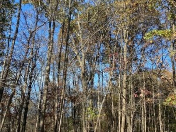 0 Terhune Dr, Wayne, NJ 07470