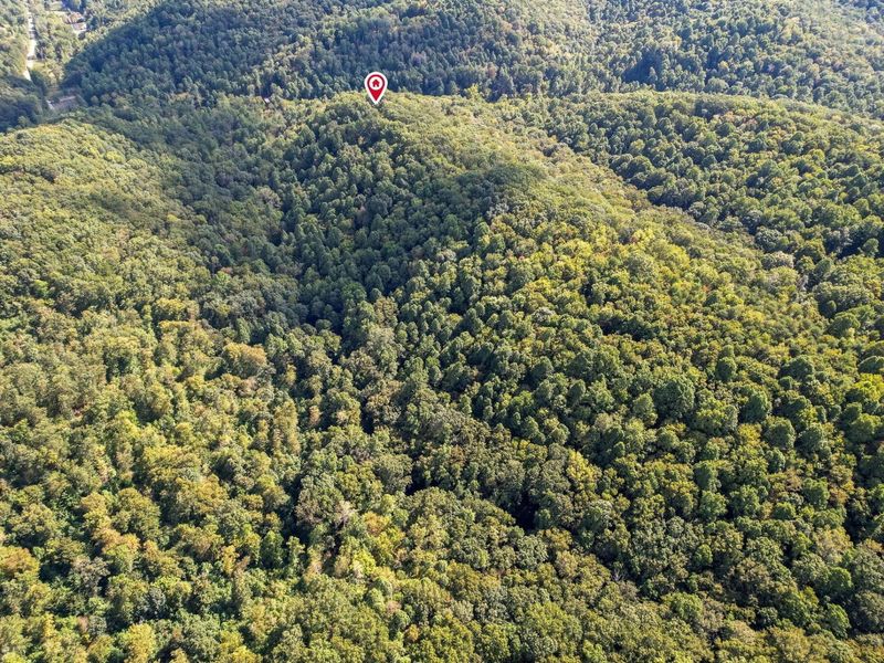 19674 Bogg Road, Laurelville, OH 43135 Photo 67