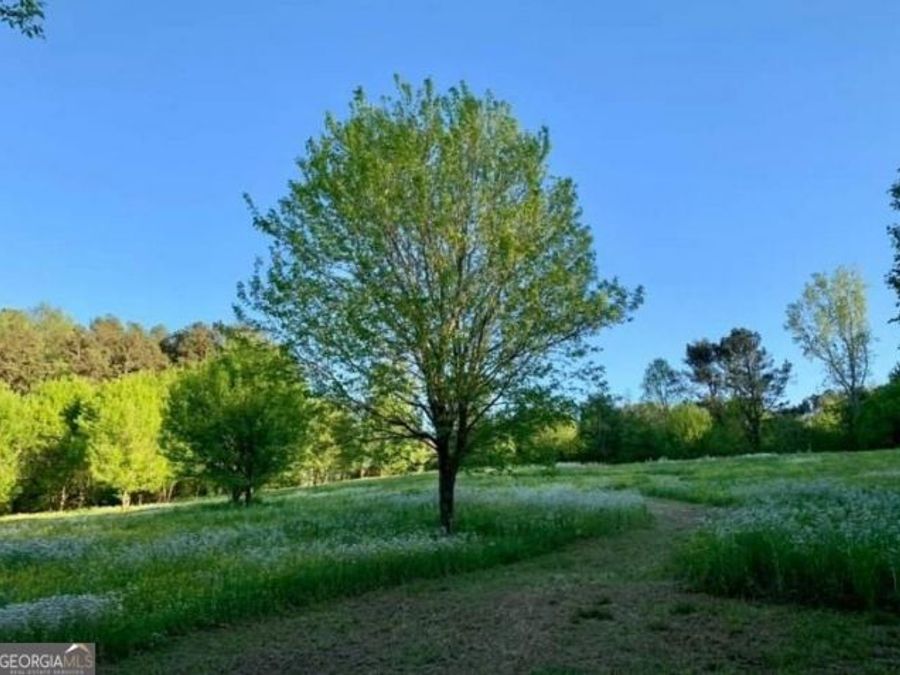 Property Image 67